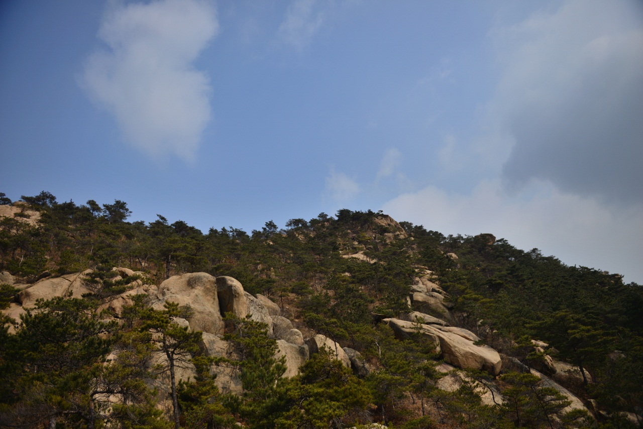 DSC_2072 (1280x854).jpg
