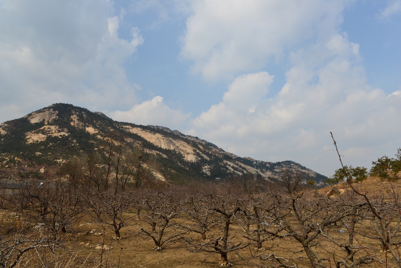 DSC_2093 (1280x854).jpg