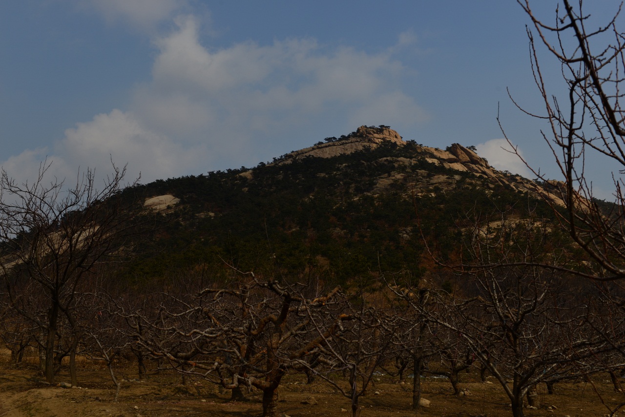 DSC_2095 (1280x854).jpg