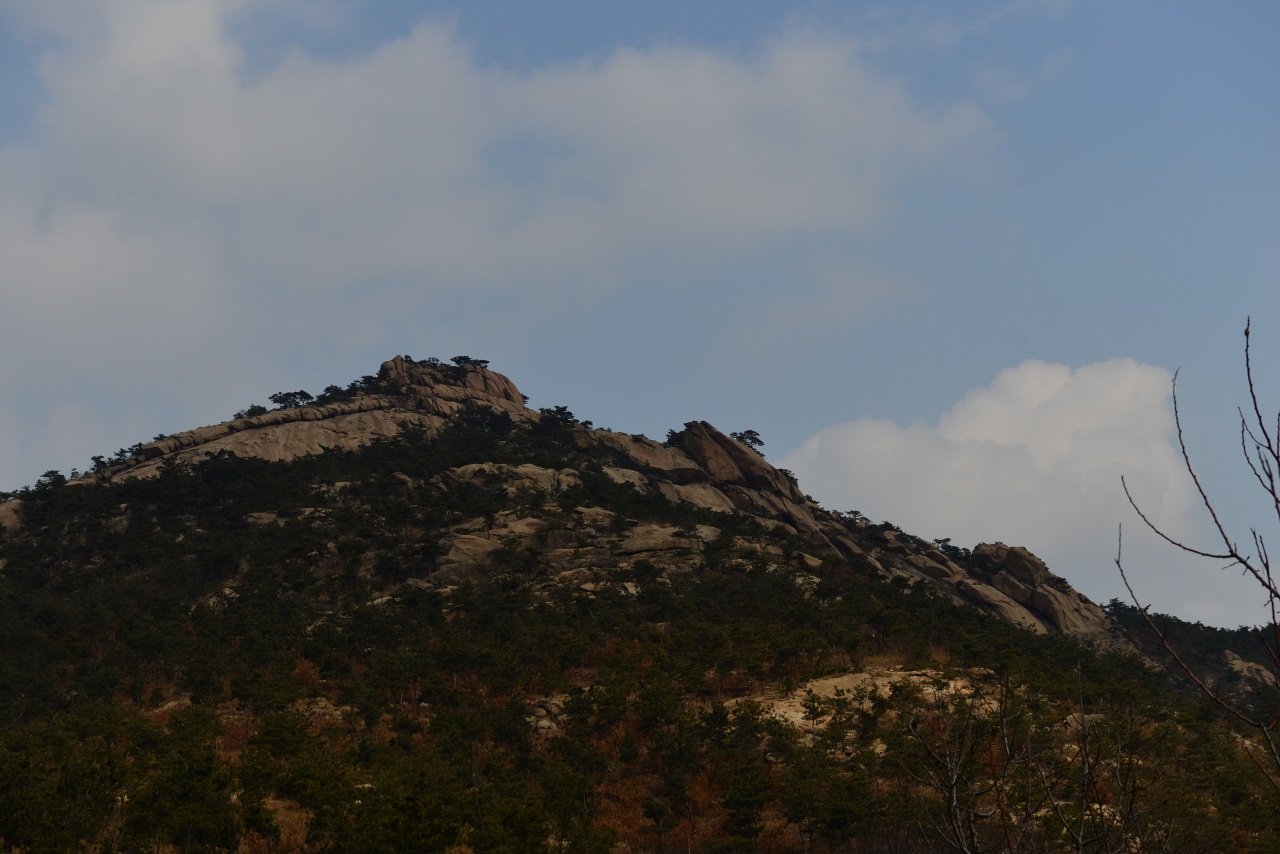 DSC_2100 (1280x854).jpg