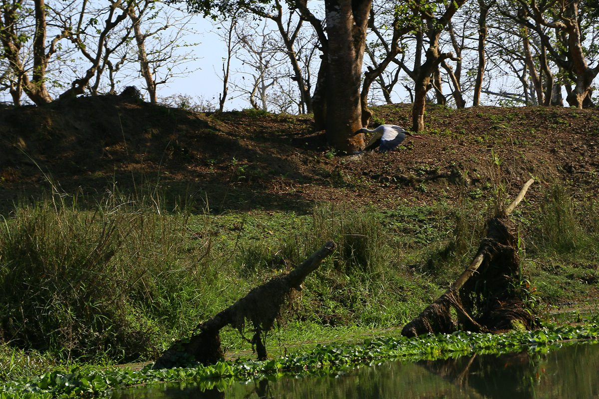 IMG_2389_副本.jpg
