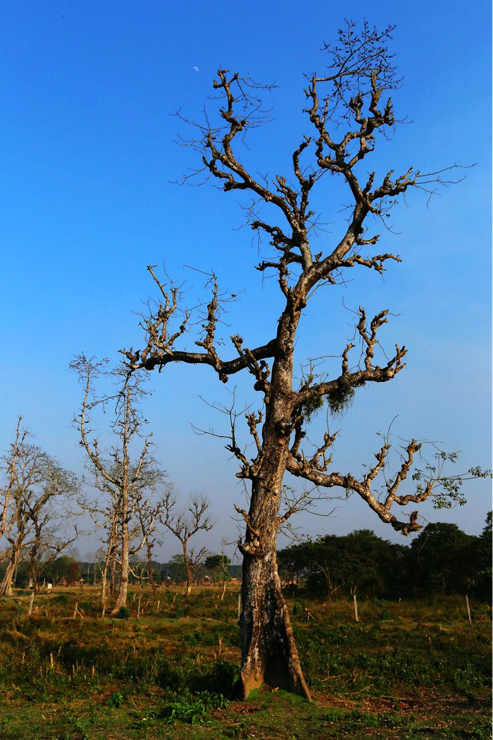 IMG_2540_副本.jpg