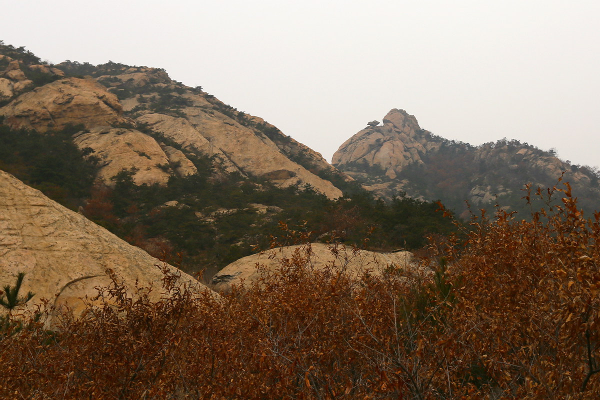 IMG_0037_副本.jpg
