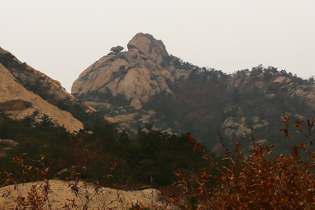 IMG_0037_副本01.jpg