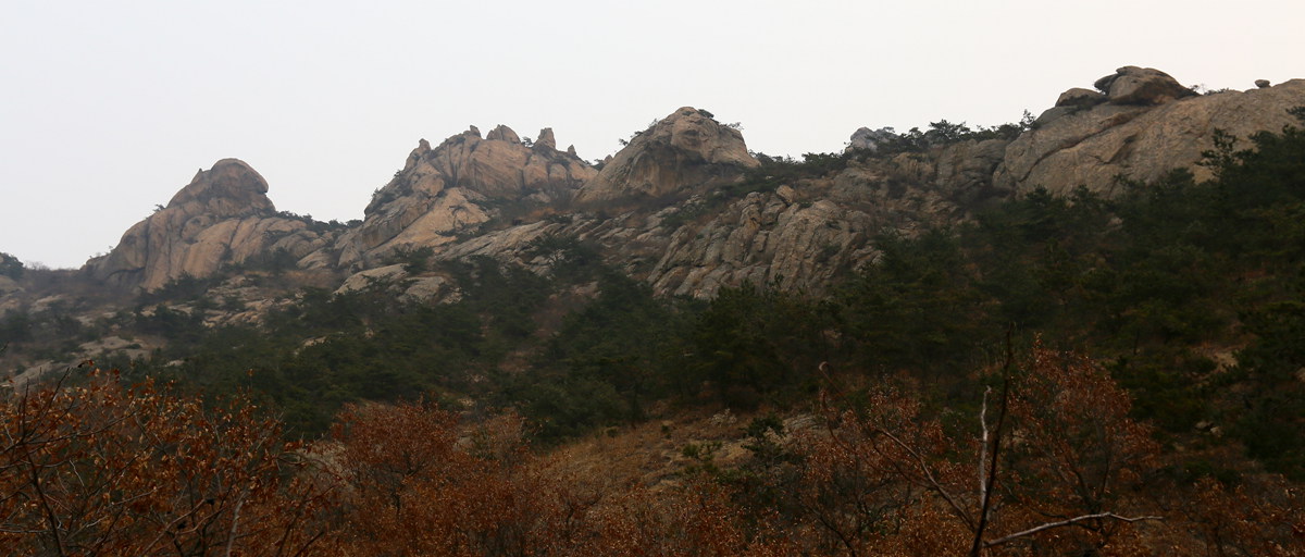 IMG_0042_副本.jpg