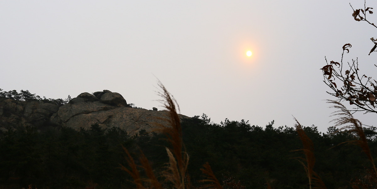IMG_0043_副本.jpg