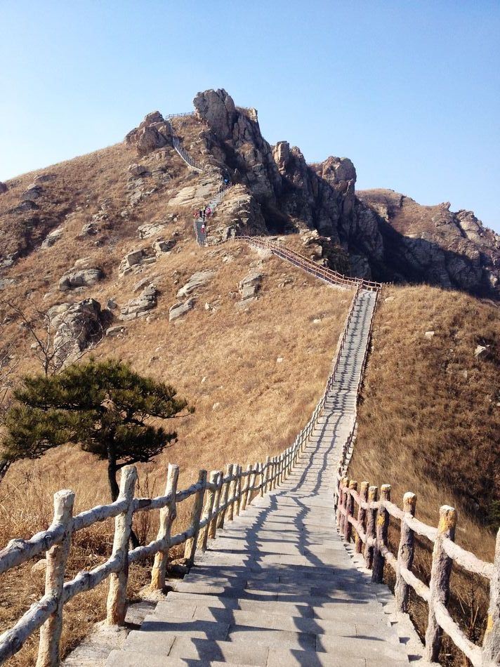 照片 439.jpg