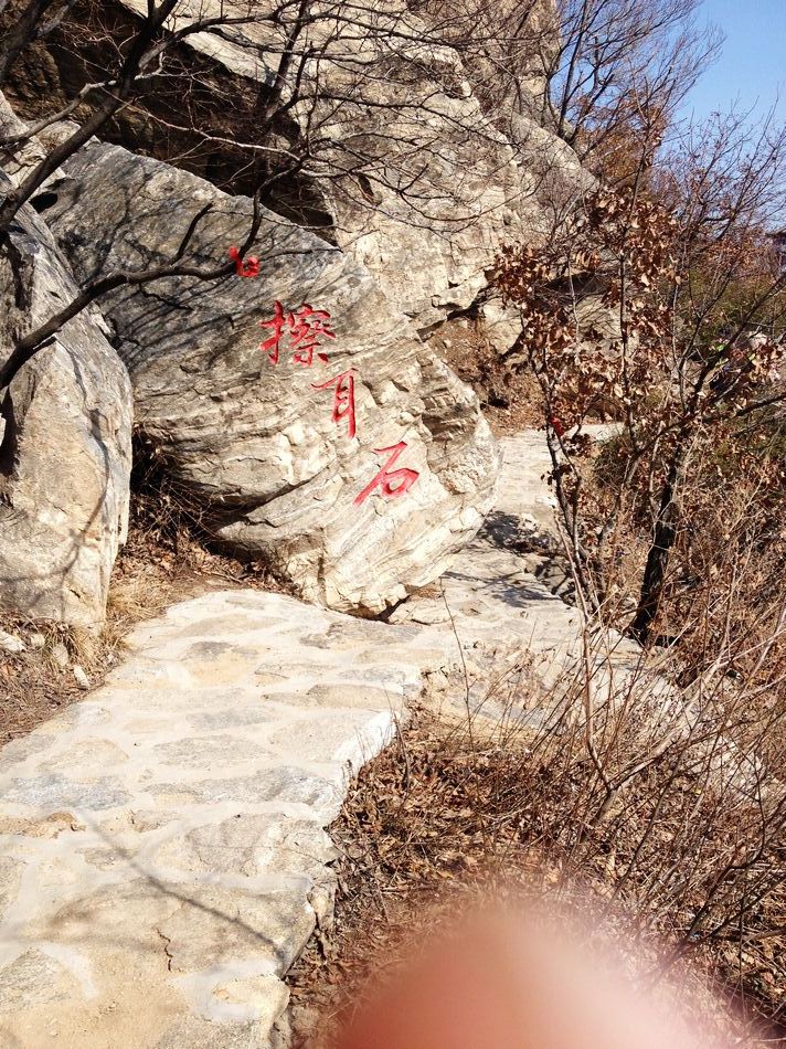 照片 510.jpg