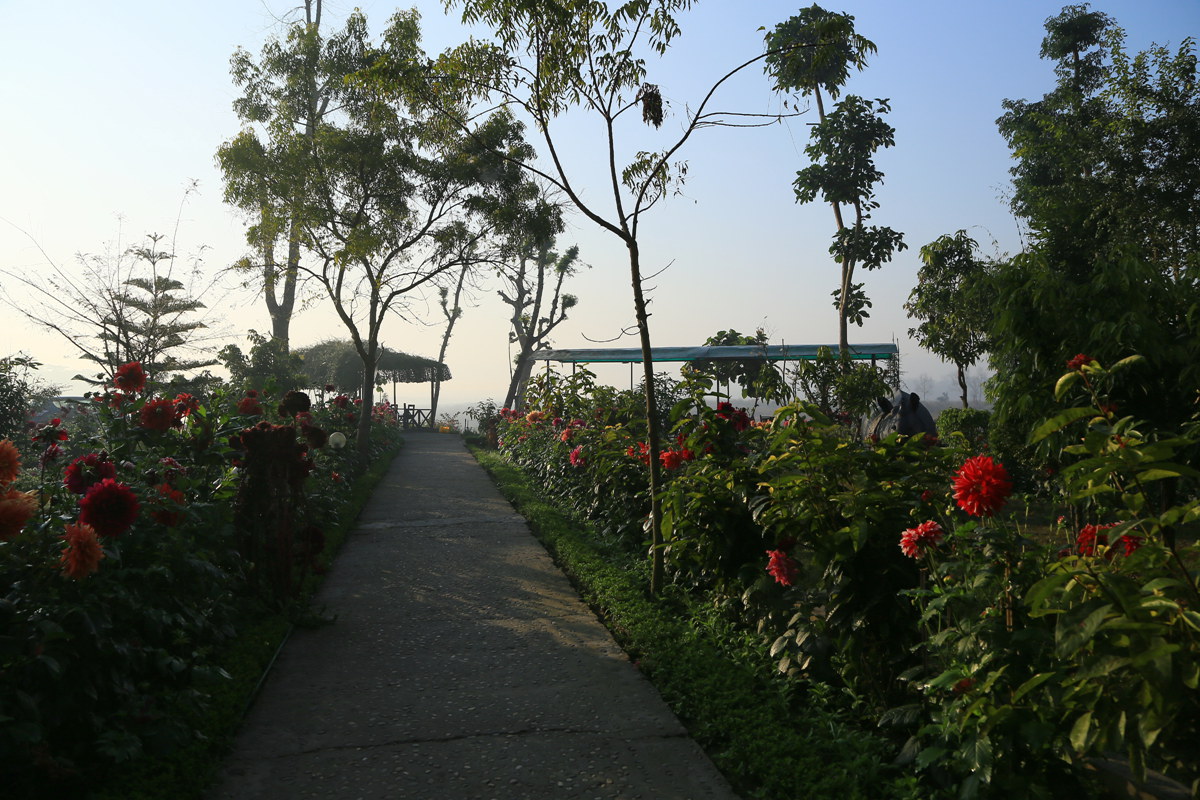 IMG_0300_副本.jpg