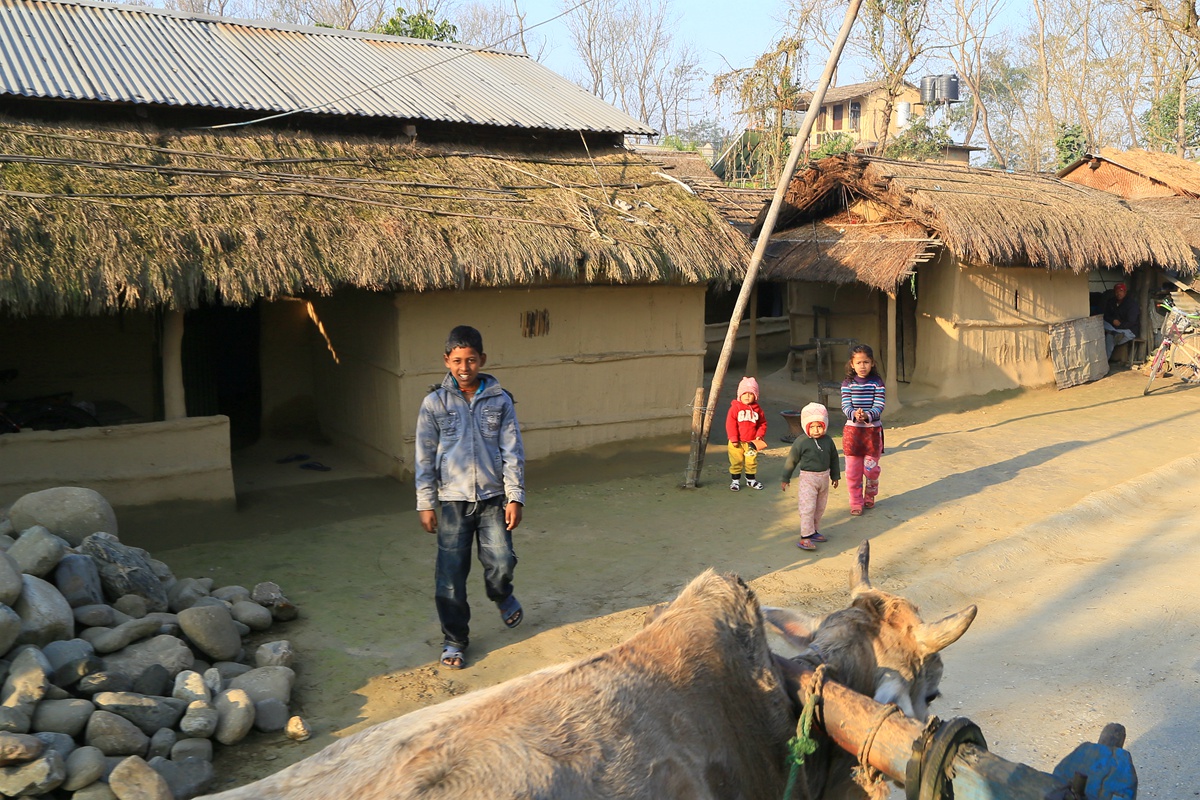 IMG_0354_副本.jpg