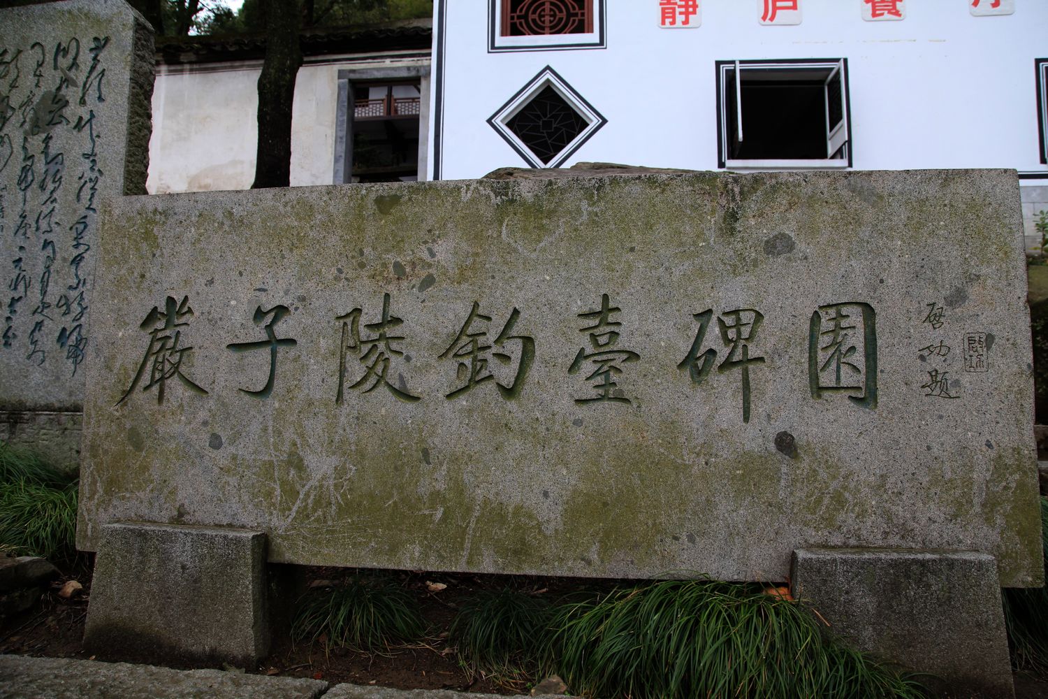 桐庐之行 397.jpg