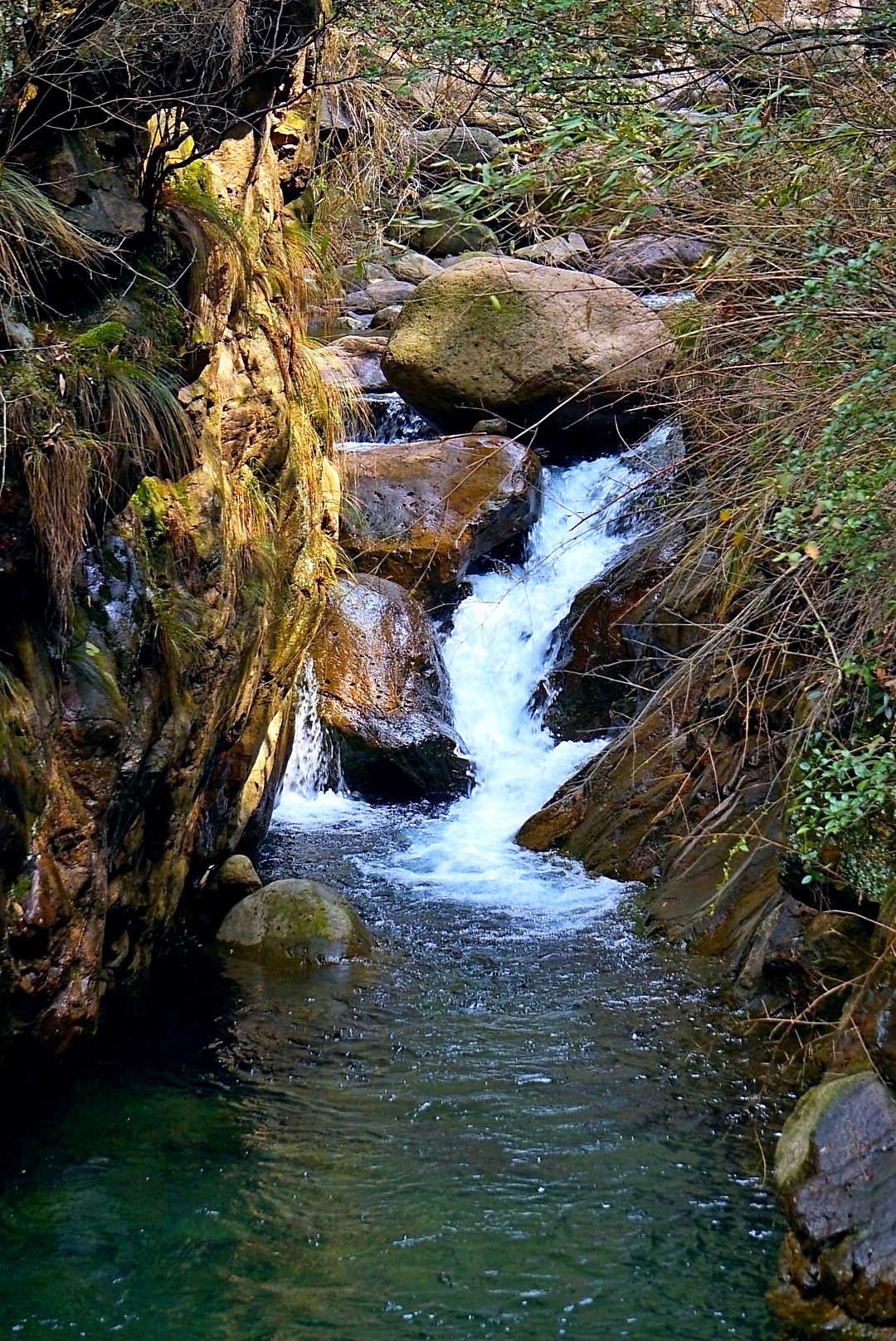 大奇山随意一景