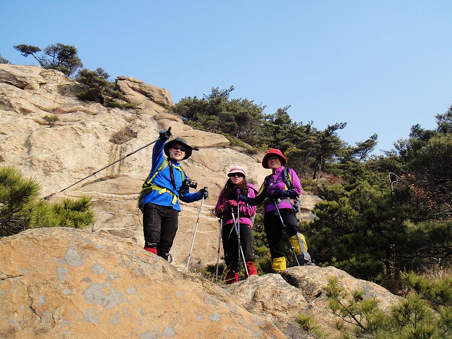 DSC04805.jpg