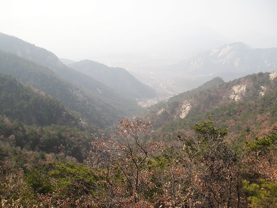 DSC04831.jpg