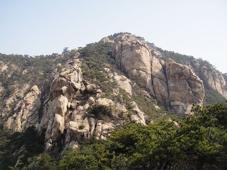 DSC04862.jpg