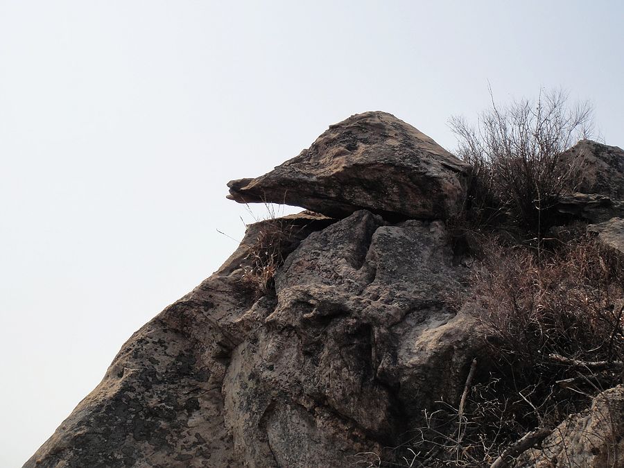 DSC04870.jpg