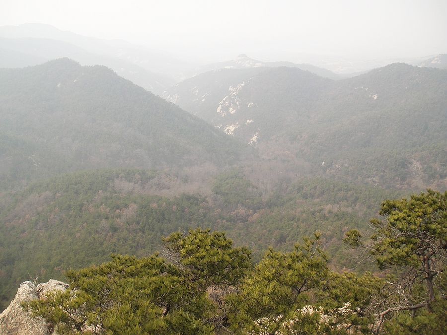 DSC04892.jpg