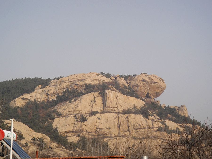 DSC04902.jpg