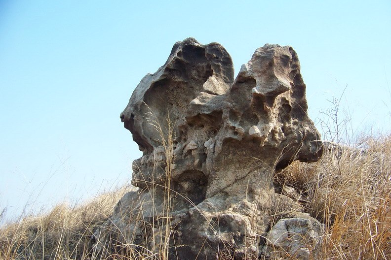 100_7902_缩小大小.JPG