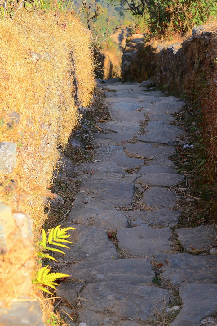 IMG_1152_副本.jpg