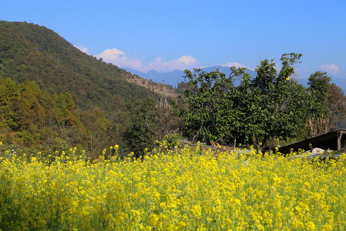 IMG_1168_副本.jpg