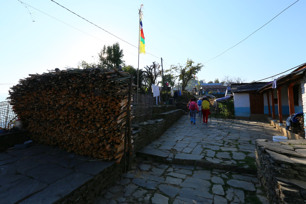 IMG_1202_副本.jpg