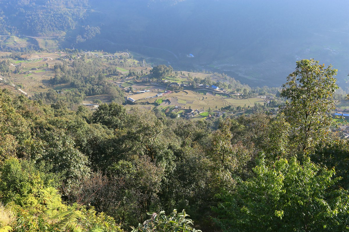 IMG_1207_副本.jpg