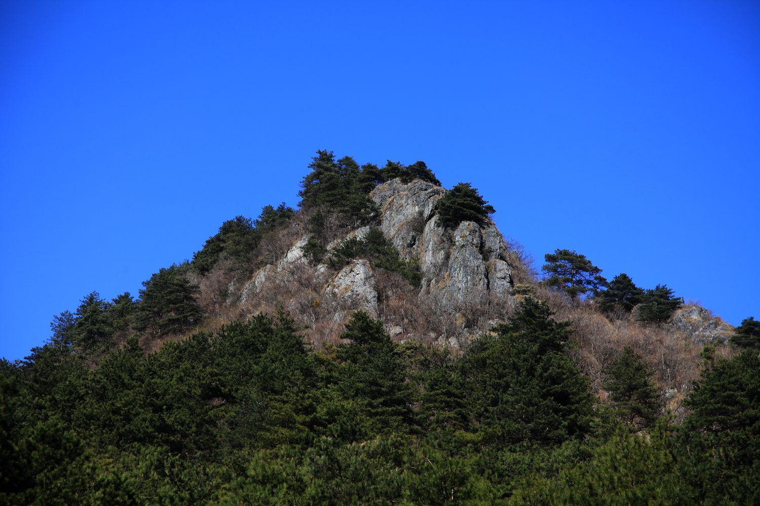 徽杭古道 161.jpg