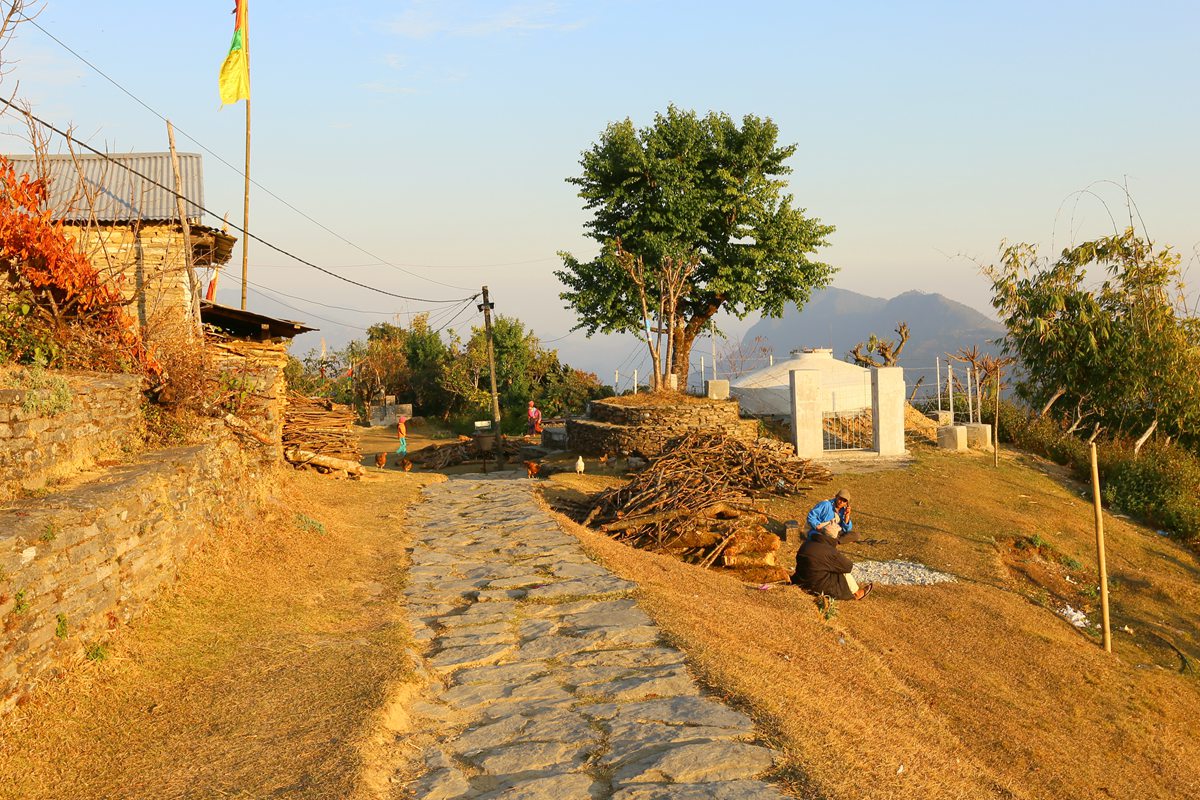 IMG_1224_副本.jpg