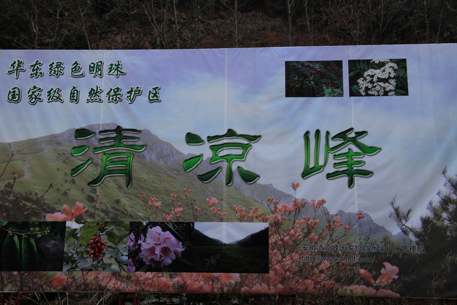 徽杭古道 309.jpg