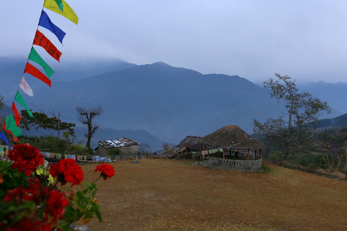IMG_1395_副本.jpg
