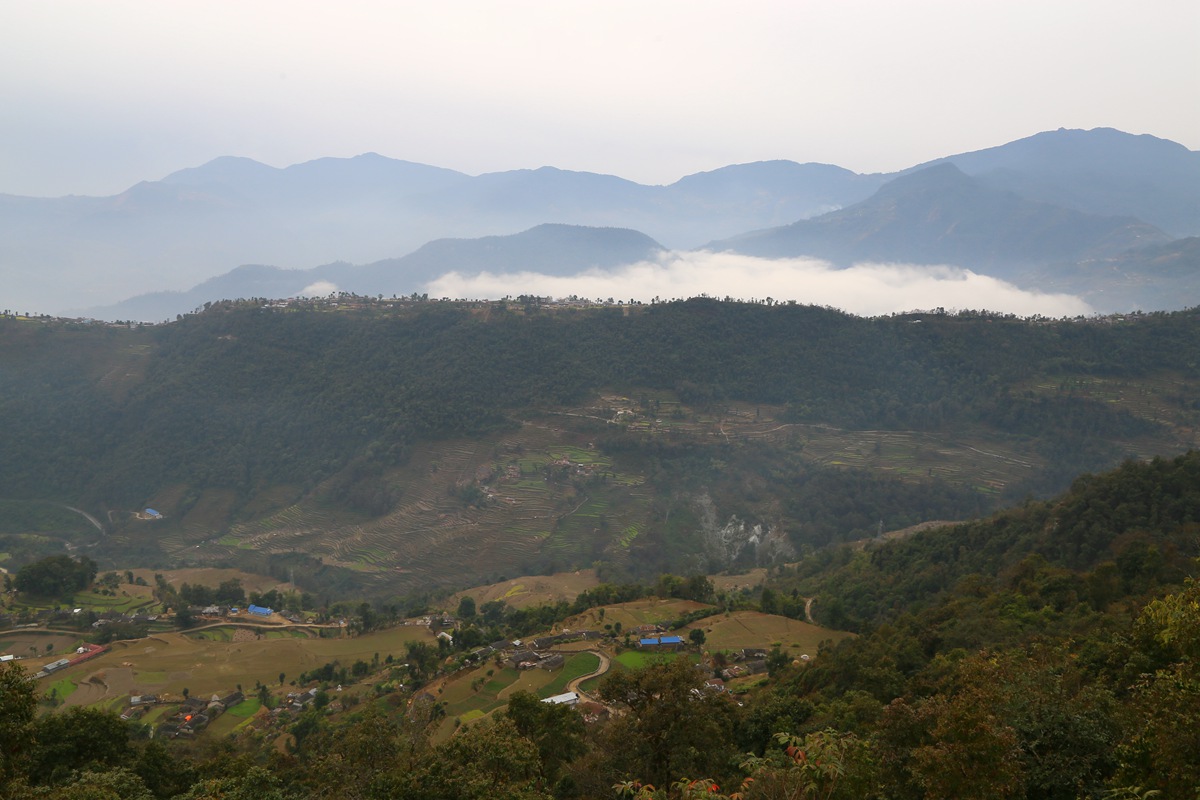 IMG_1400_副本.jpg