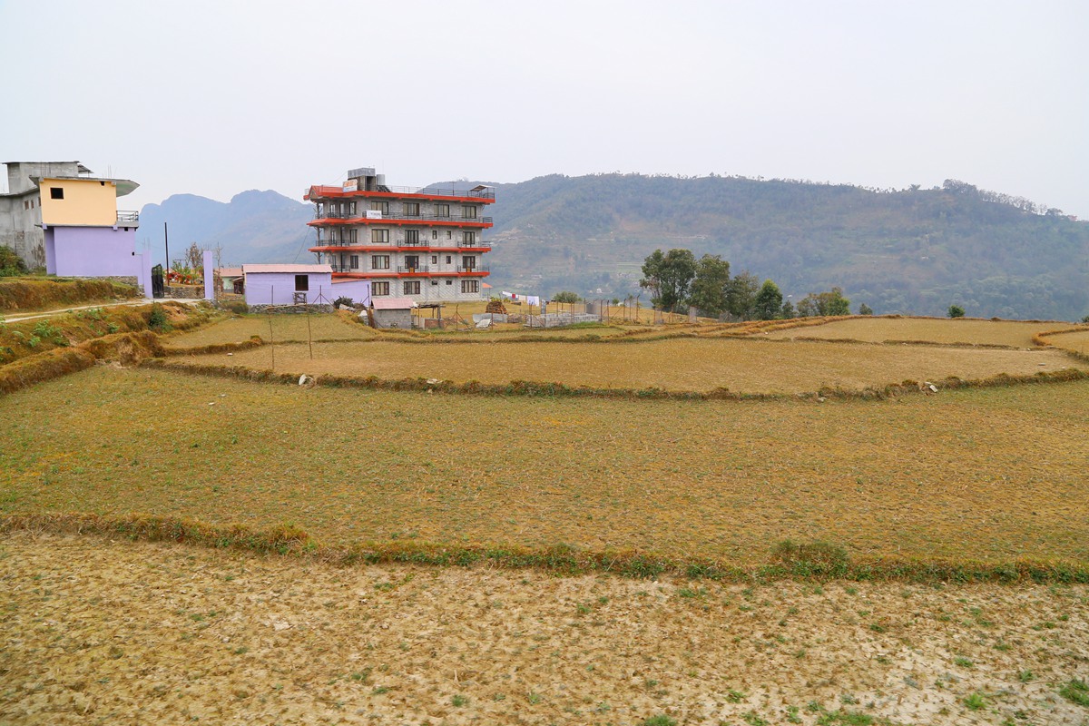 IMG_1427_副本.jpg