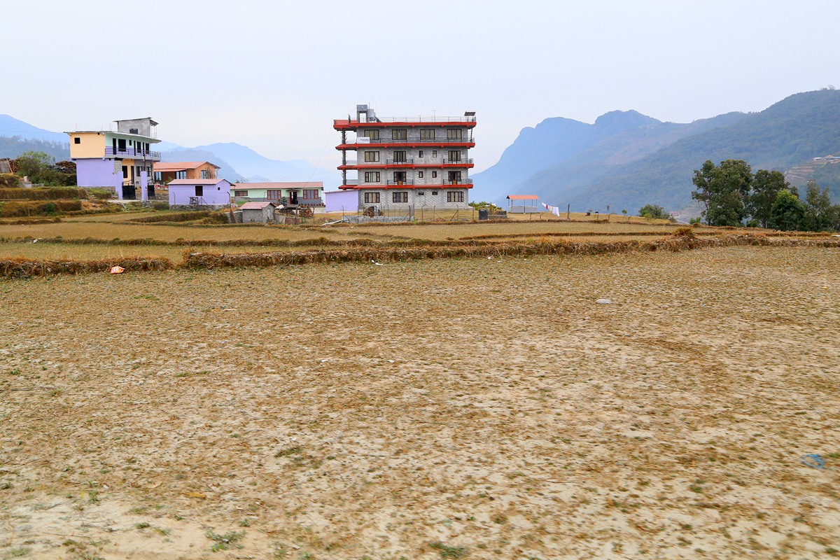 IMG_1429_副本.jpg