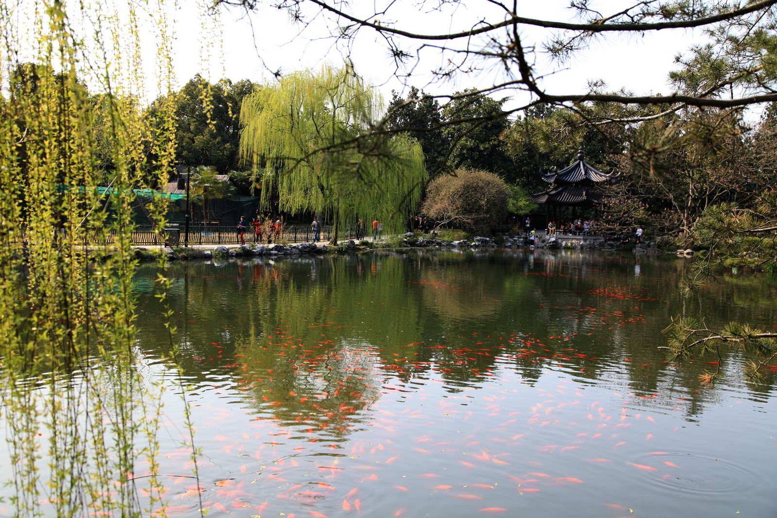 徽杭古道 537.jpg
