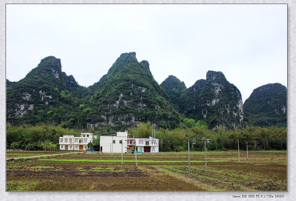 照片 046_看图王.jpg