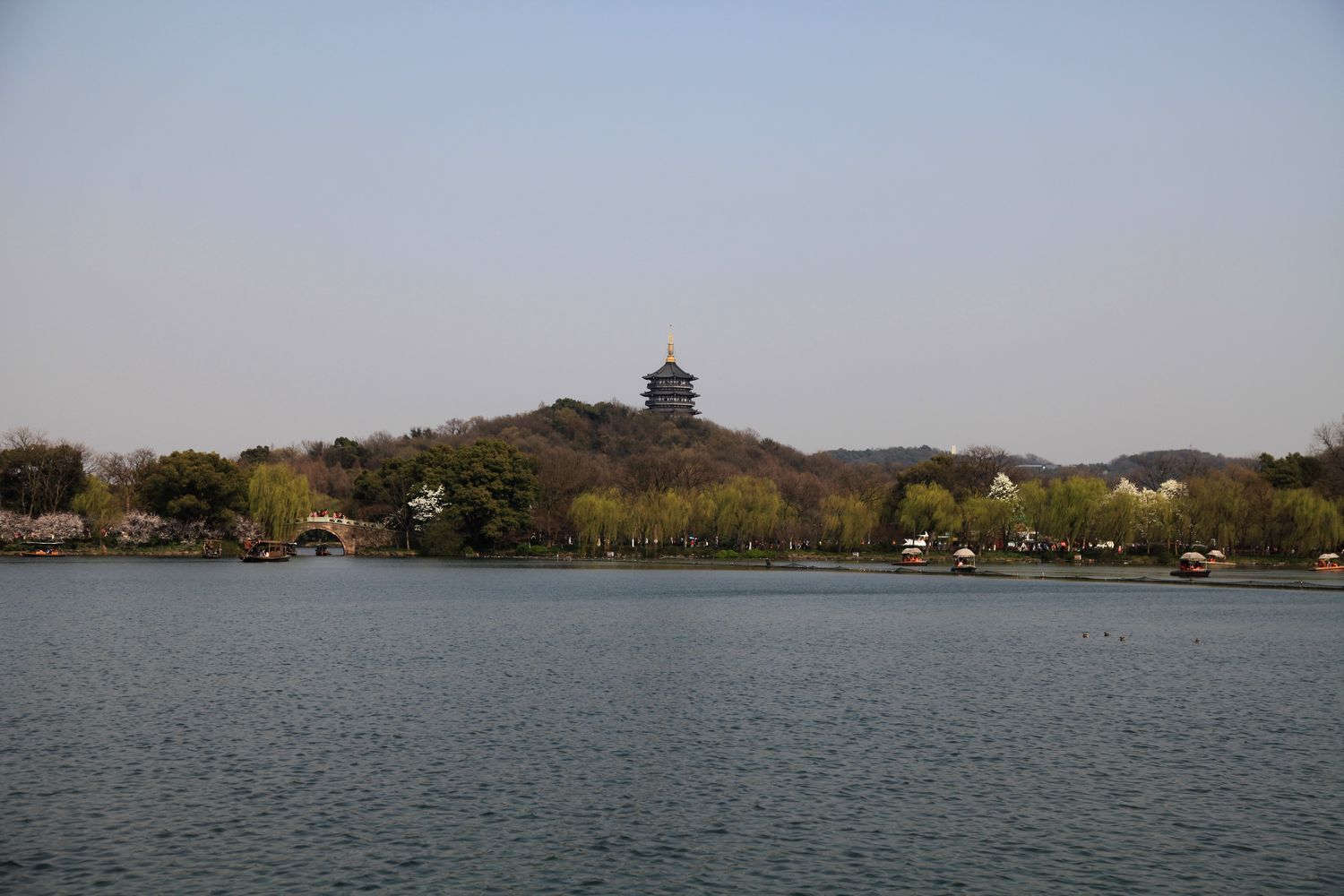 徽杭古道 513.jpg
