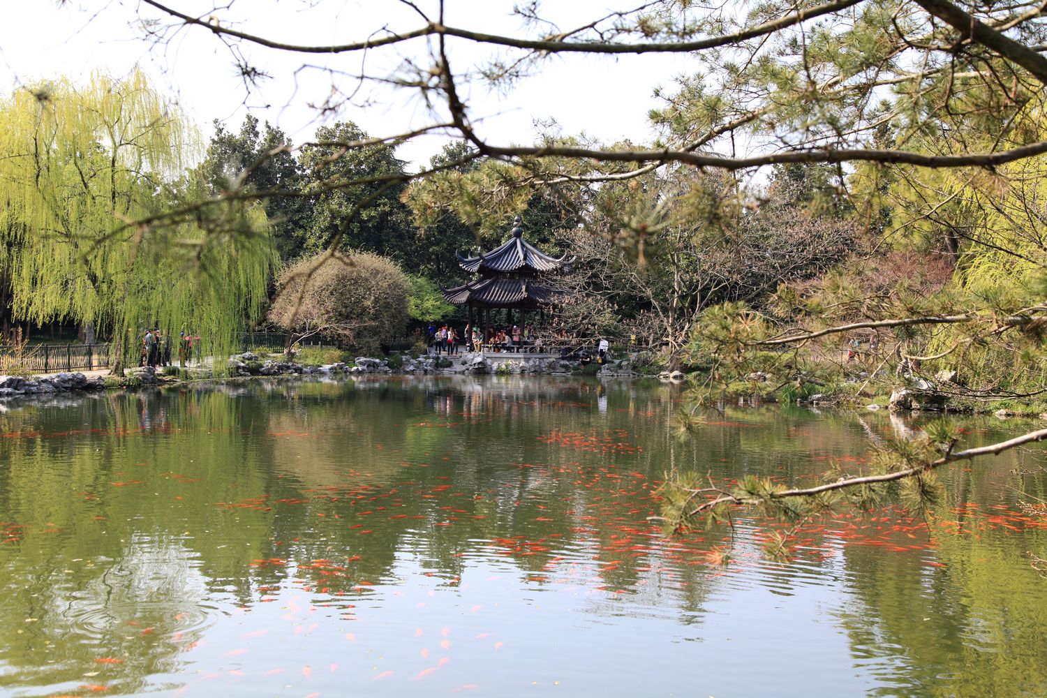 徽杭古道 539.jpg