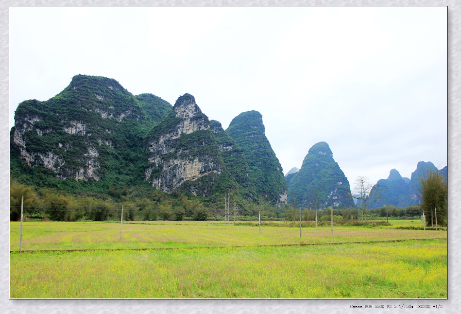 照片 062_看图王.jpg