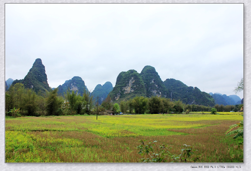 照片 065_看图王.jpg