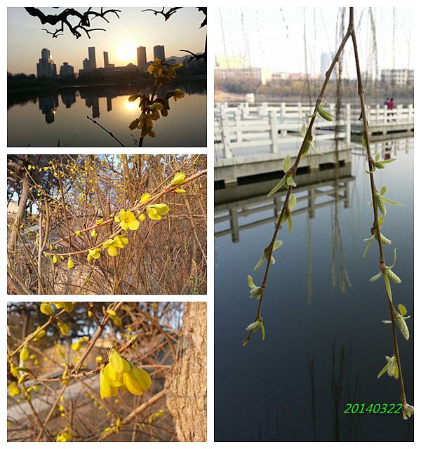 20140322.jpg
