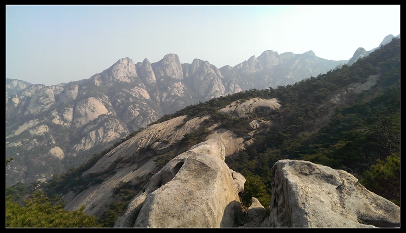 IMAG0984.jpg