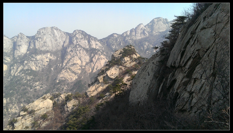 IMAG0988.jpg