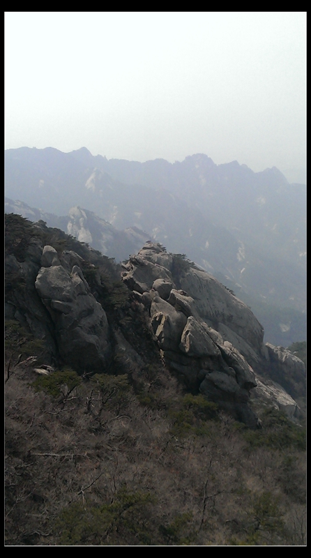 IMAG0990.jpg