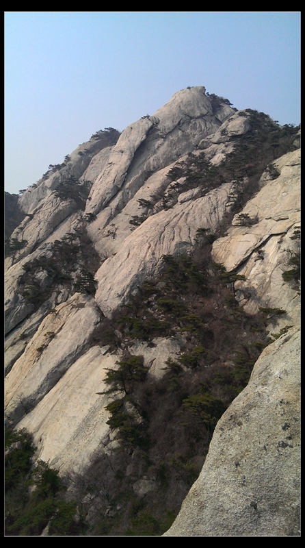 IMAG0994.jpg