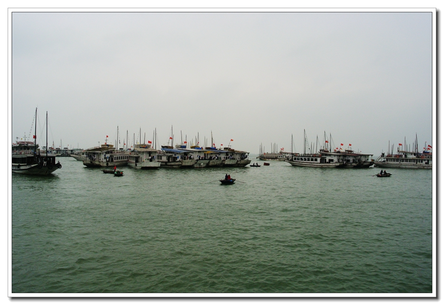 DSC_2490.jpg