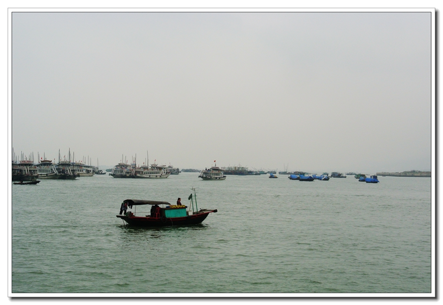 DSC_2492.jpg