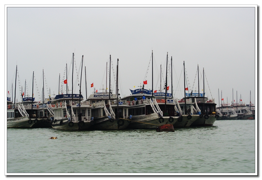 DSC_2494.jpg