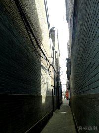 103.jpg