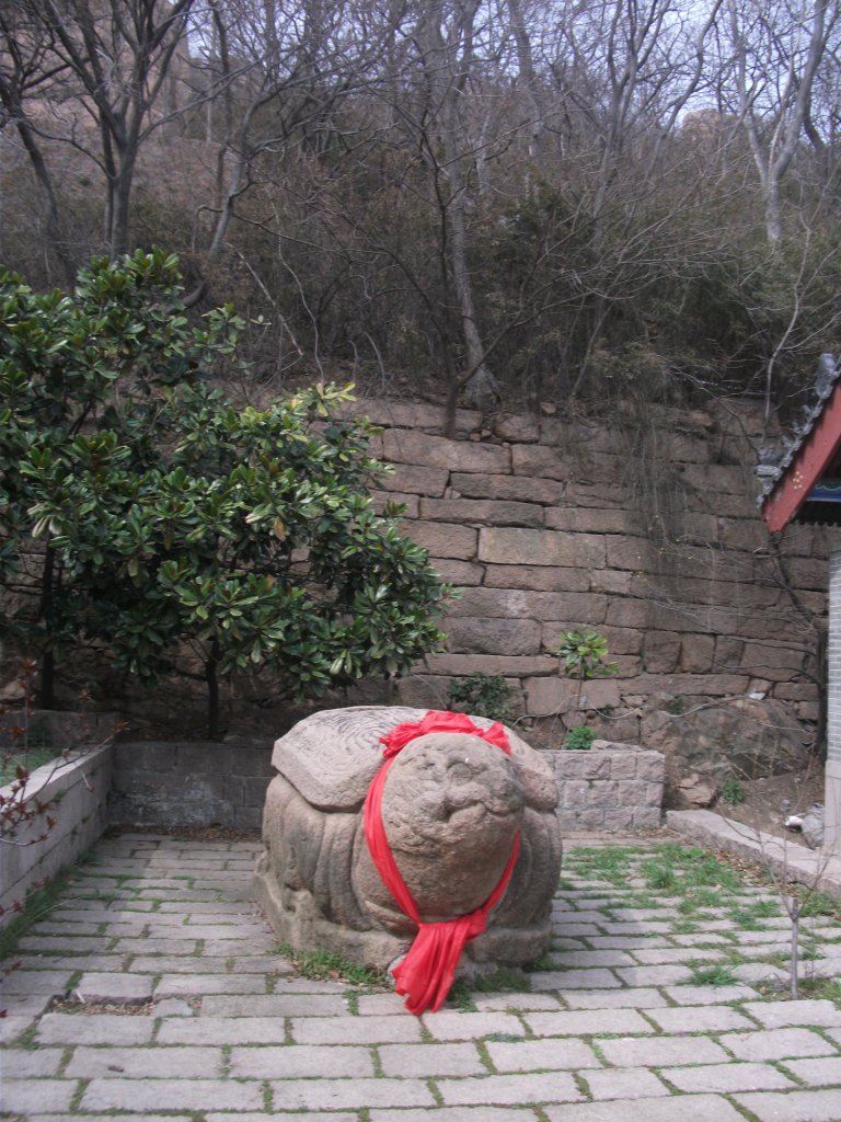 DSCF5654.JPG